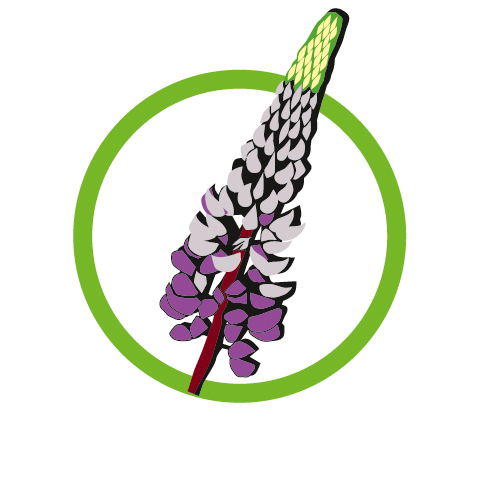 Logo Lupin Allergie