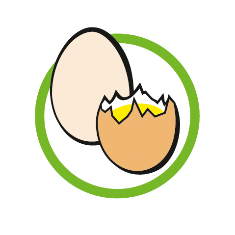 Logo Eier Allergie