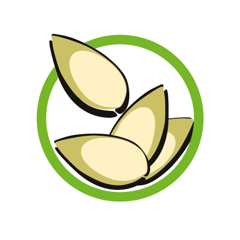 Logo Sesam Allergie